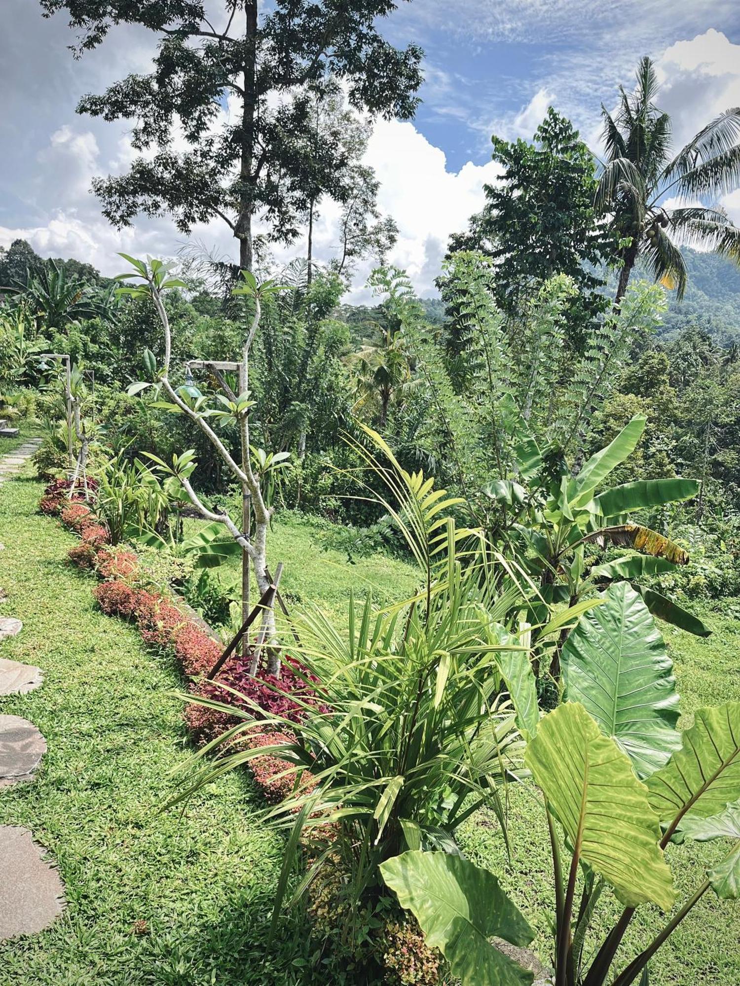 Papahan Bali Sidemen  Eksteriør billede